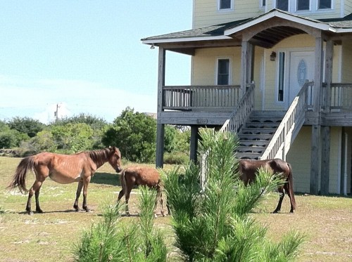 1313807290_picsay-1313807290