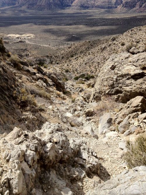 Photo_feb_19_11_50_25_am_hdr