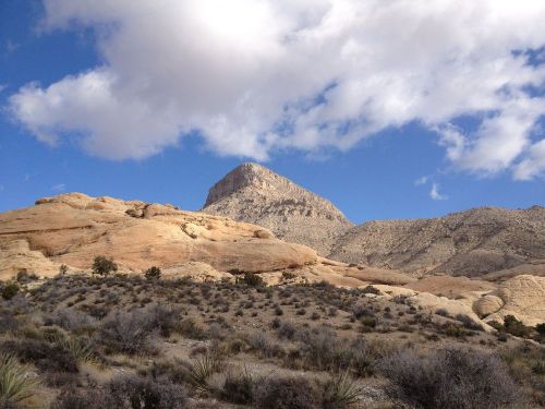 Photo_feb_19_9_18_26_am