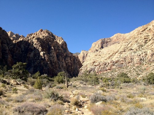 Photo_mar_04_9_13_47_am_hdr