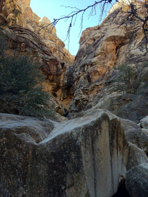 Photo_mar_04_9_59_35_am_hdr