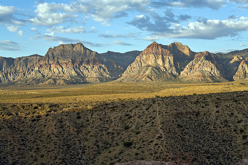 3187540883_f3403a20b2