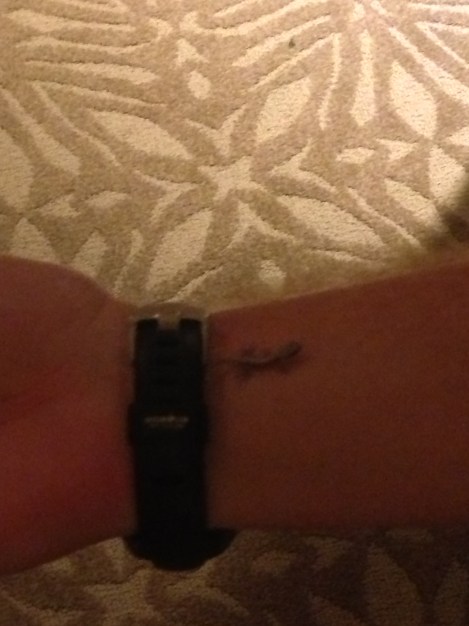 He was so small, but relaxed while I was holding him. Granted, it was likely out fear.