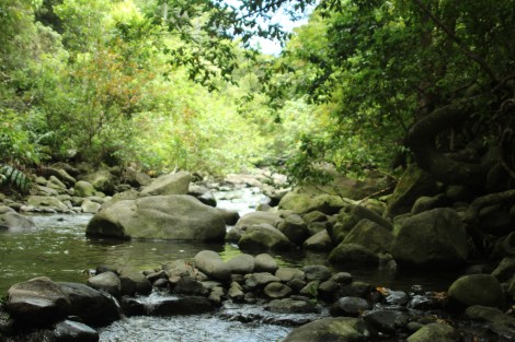 This is Hawaii.  Honest.