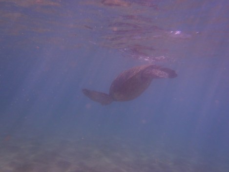 I was struggling to keep up.  And yes, this was the best I got.